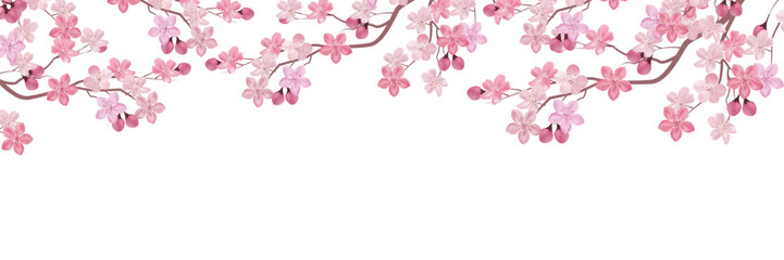 桜　ひな祭り　春　和柄　背景	
