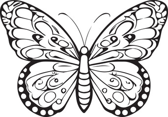 butterfly illustration