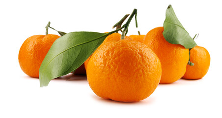 Several ripe tangerines isolated on a white background. Organic tangerine with green leaf. Mandarin.