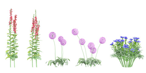 Jungle Giant Allium,Cornflower,wildflower plant shapes cutout 3d render - obrazy, fototapety, plakaty