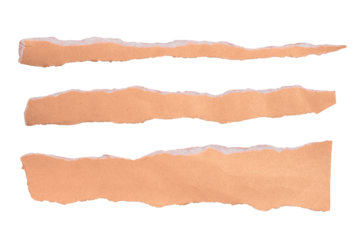 three pieces of torn long peach colored paper