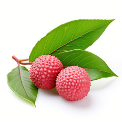 Lychee with leaves on white background