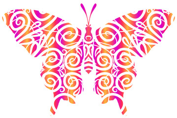 Beautiful colourful butterfly design with aesthetic wings and luxurious shape pattern 