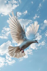 A flying white pigeon against a blue sky background. A symbol of peace.