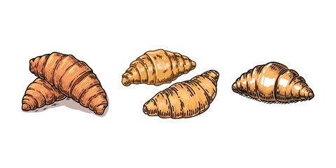 set of hand-drawn vintage croissant design, illustration, white background