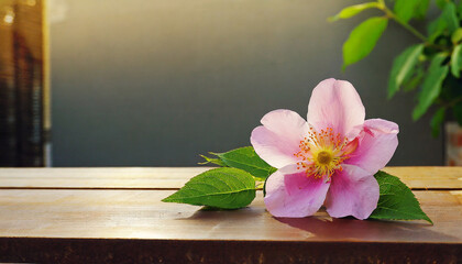 pink flower on the table
