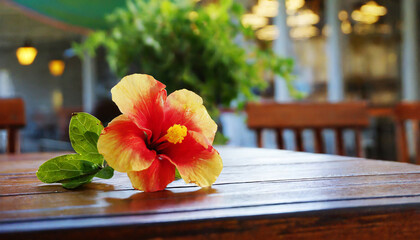 Fototapeta na wymiar flower on the table