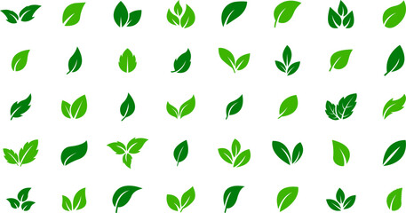 Set of green leaf icons. Eco, bio, natural, vegan icon. Vector illustration. - obrazy, fototapety, plakaty