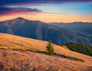 Amazing evening view of Doboshanka Peak. Spectacular autumn sunset in Carpathian mountains,...