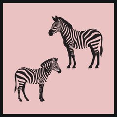 Fototapeta na wymiar Zebra Stripes black Silhouette Clip, Zebra couple standing, Wild animal texture