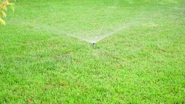 The sprinkler built into the lawn hides in the grass after the watering is turned off. Hidden integrated automatic water system