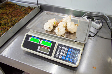 weighing garlic at work with an electronic scale