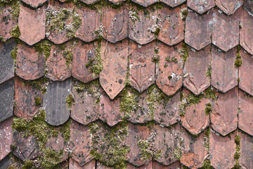 Old, Mossy, Weathered Red Clay Tile Roof in Switzerland