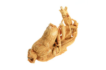 Ginseng on a white background
