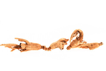 Ginseng on a white background