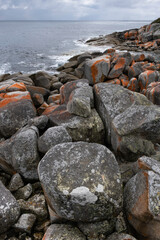 Orange-hued granite rocks in the Bay of Fires on the northeastern coast of Tasmania, Australia