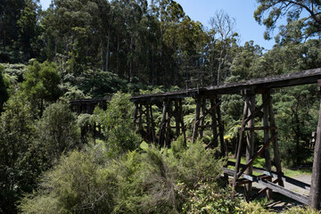 Fototapeta na wymiar Part of the wooden old Monbulk iconic Puffing Billy-Railway Trestle Bridge built in 1889, located in the Dandenong Ranges near Melbourne, Victoria, Australia