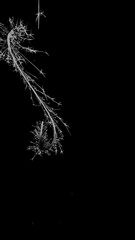 black and white background