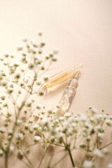 Two ampoules with a plant