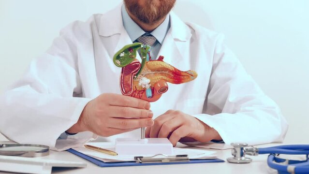 Female doctor showing a model of pancreas using magnifying glass. Early diagnosis and treatment.