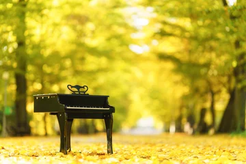 Poster A piano standing on a path in the park in the autumn aura © Piotr