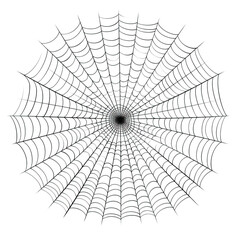 Obraz premium Spider silk isolated on transparent background. PNG