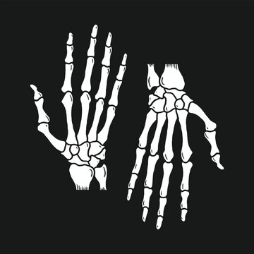 hand skeleton bone vector illustration