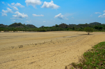 Obraz premium Expansive sandy plain under a bright blue sky, lone tree, distant hills, tropical landscape.
