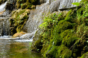 waterfall in the forest