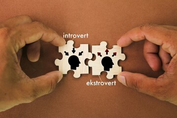 wooden puzzle with the combination icon between introvert and extrovert, which is to be Ambivert
