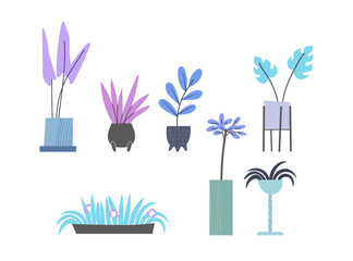 Set of house plants in pots in trendy pastel colors with minimal texture. Hand drawn simple flat style.