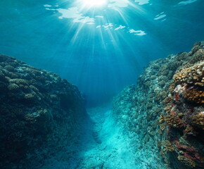 Fototapeta na wymiar Sunlight underwater with a trench in the coral reef, Pacific ocean, French Polynesia, natural scene