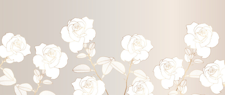 Light luxury floral background, poster, banner with delicate white roses and gold outline.