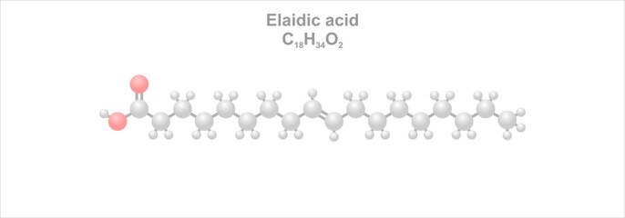 Elaidic acid. Simplified scheme of the molecule. Trans isomer of oleic acid.
