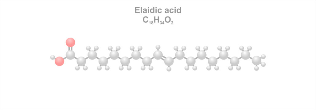 Elaidic acid. Simplified scheme of the molecule. Trans isomer of oleic acid.