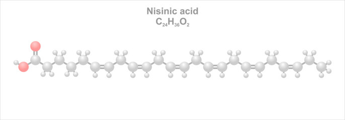 Obraz premium Nisinic acid. Simplified scheme of the molecule. Occurs in fish oil.