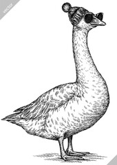 Vintage engraving isolated duck set glasses dressed fashion illustration goose ink sketch. Farm bird background silhouette geese sunglasses hipster hat art. Black and white hand drawn vector image