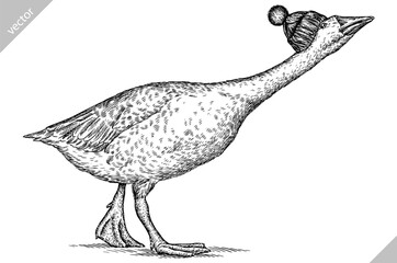 Vintage engraving isolated duck set glasses dressed fashion illustration goose ink sketch. Farm bird background silhouette geese sunglasses hipster hat art. Black and white hand drawn vector image