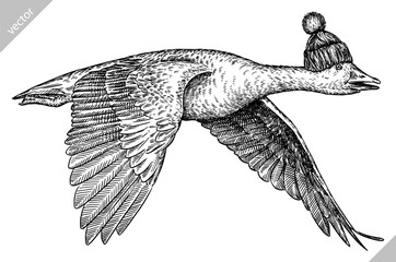 Vintage engraving isolated duck set glasses dressed fashion illustration goose ink sketch. Farm bird background silhouette geese sunglasses hipster hat art. Black and white hand drawn vector image