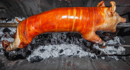 A young pig is roasted on a spit over coals.