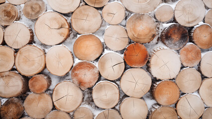 Ho Wood Logs: A Snowy Spectacle