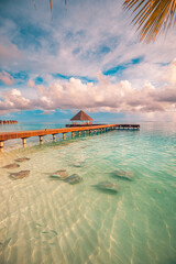 Fantastic sunset beach shore, shallows with sting rays and sharks in Maldives islands. Luxury resort hotel, wooden pier, over water villa, bungalow. Amazing traveling, vacation landscape wildlife
