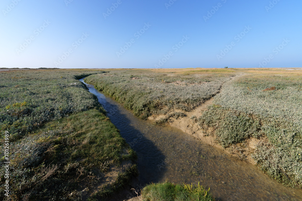 Canvas Prints the nature reserve of the bay of somme