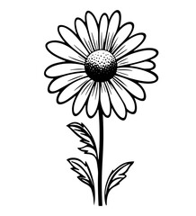 Beautiful seamless daisy or chamomile flowers and leaves pattern
