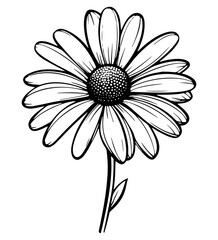 Beautiful seamless daisy or chamomile flowers and leaves pattern
