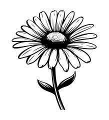 Beautiful seamless daisy or chamomile flowers and leaves pattern
