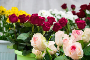 Bouquets of roses in flower shop. Selling fresh flowers for Valentines Day. Multi-colored flowers close-up.