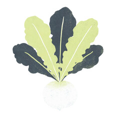 春の七草スズナのイラスト