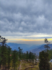 Clouds over the forest