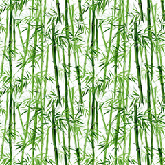 bamboo vector illustration